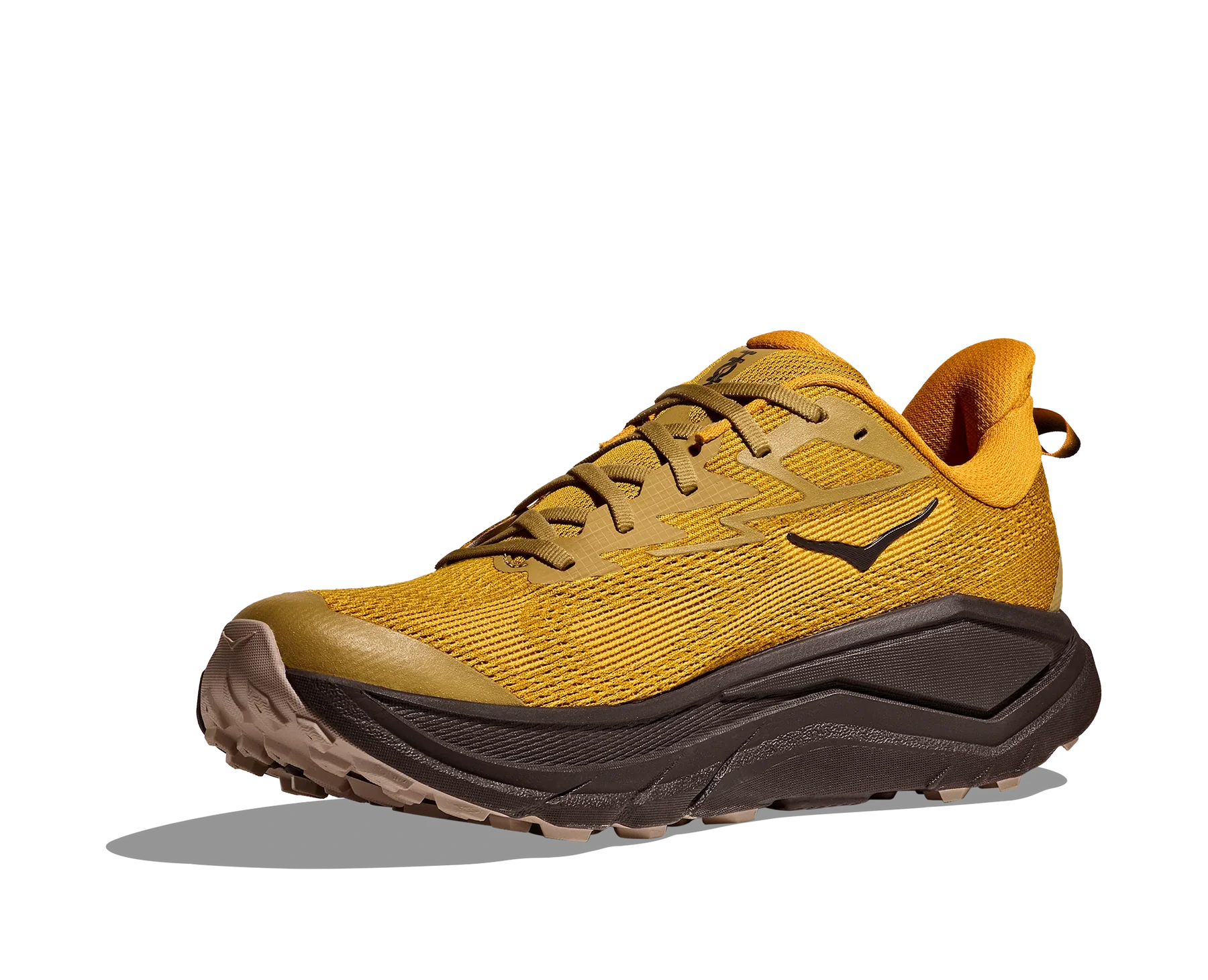 Hoka Challenger 8 Men Regular in Mustard Seed / Black running shoe photo 49 | MotionLab